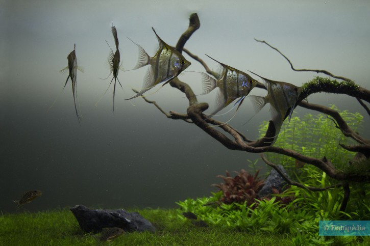photographie - Claire Moreira