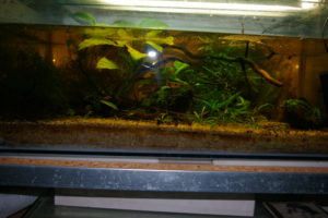 AQUARIUM 2