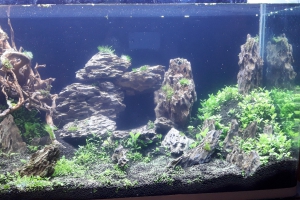 aquascaque