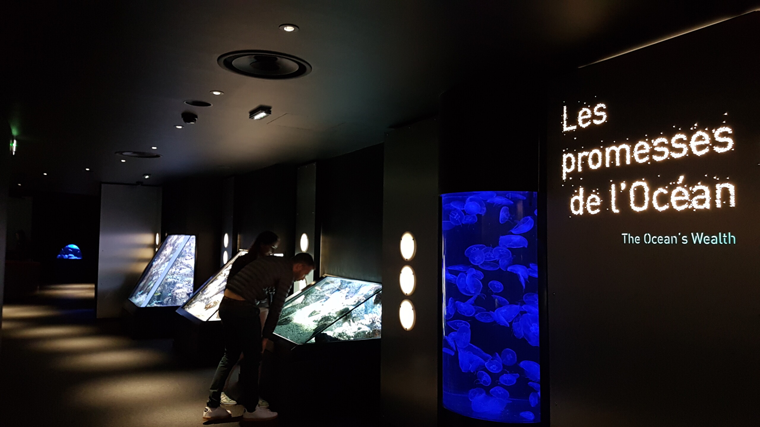 museumList