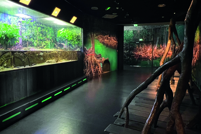fishes picture